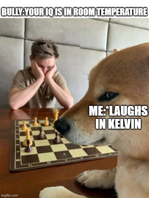 also the bully meant C not F | BULLY:YOUR IQ IS IN ROOM TEMPERATURE; ME:*LAUGHS IN KELVIN | image tagged in doge playing chess | made w/ Imgflip meme maker