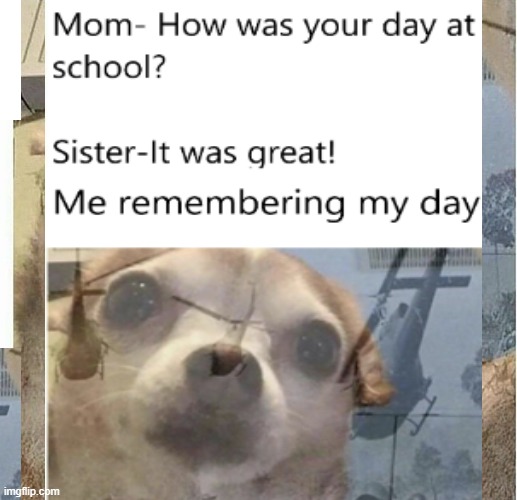 We lost 4 men today..... | image tagged in ptsd chihuahua | made w/ Imgflip meme maker