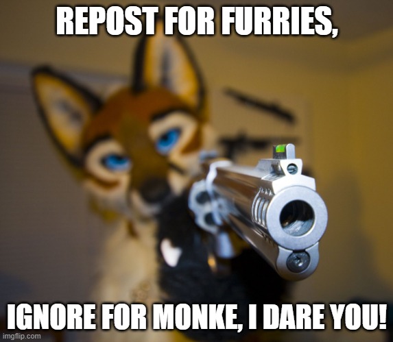 repost for furries | REPOST FOR FURRIES, IGNORE FOR MONKE, I DARE YOU! | image tagged in furry with gun,furry memes | made w/ Imgflip meme maker