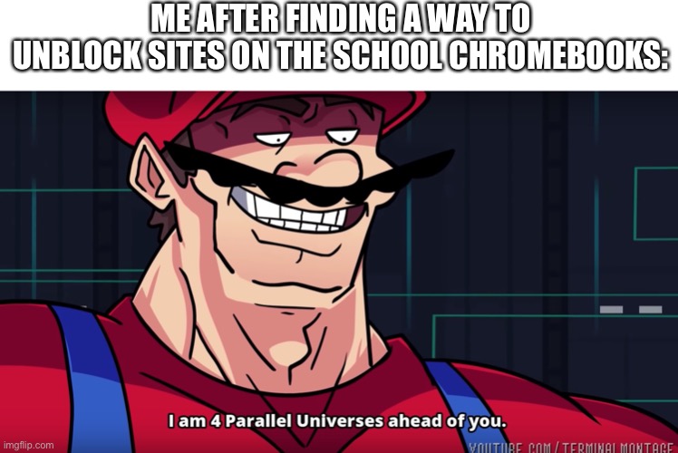 Haha, hacks go brrr | ME AFTER FINDING A WAY TO UNBLOCK SITES ON THE SCHOOL CHROMEBOOKS: | image tagged in mario i am four parallel universes ahead of you,memes,school | made w/ Imgflip meme maker