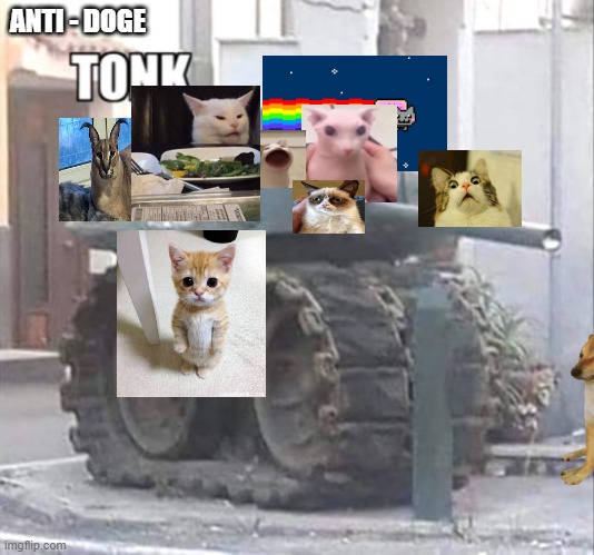 anti - doge tonk | ANTI - DOGE | image tagged in tonk,grumpy cat,nyan cat,memes,funny cat memes | made w/ Imgflip meme maker