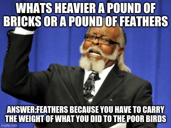 tru | WHATS HEAVIER A POUND OF BRICKS OR A POUND OF FEATHERS; ANSWER:FEATHERS BECAUSE YOU HAVE TO CARRY THE WEIGHT OF WHAT YOU DID TO THE POOR BIRDS | image tagged in memes,too damn high | made w/ Imgflip meme maker