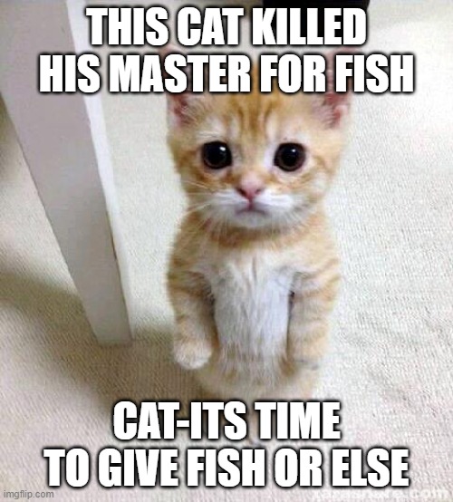 Cute Cat Meme | THIS CAT KILLED HIS MASTER FOR FISH; CAT-ITS TIME TO GIVE FISH OR ELSE | image tagged in memes,cute cat | made w/ Imgflip meme maker