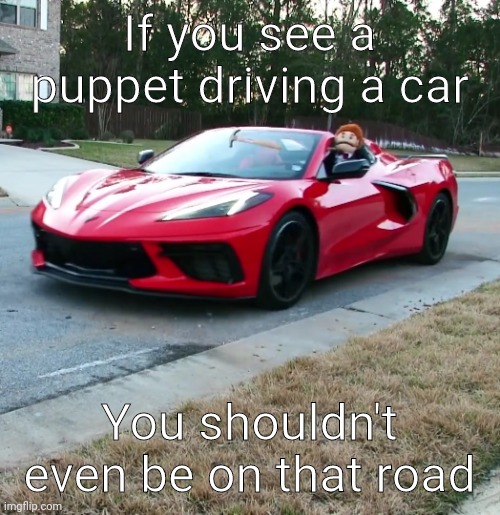E | If you see a puppet driving a car; You shouldn't even be on that road | image tagged in sml hit lambo,mr goodman sml | made w/ Imgflip meme maker