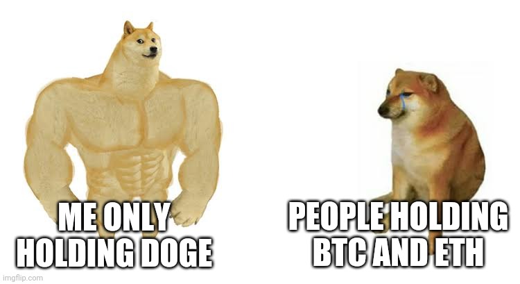 Strong doge weak doge | PEOPLE HOLDING BTC AND ETH; ME ONLY HOLDING DOGE | image tagged in strong doge weak doge | made w/ Imgflip meme maker