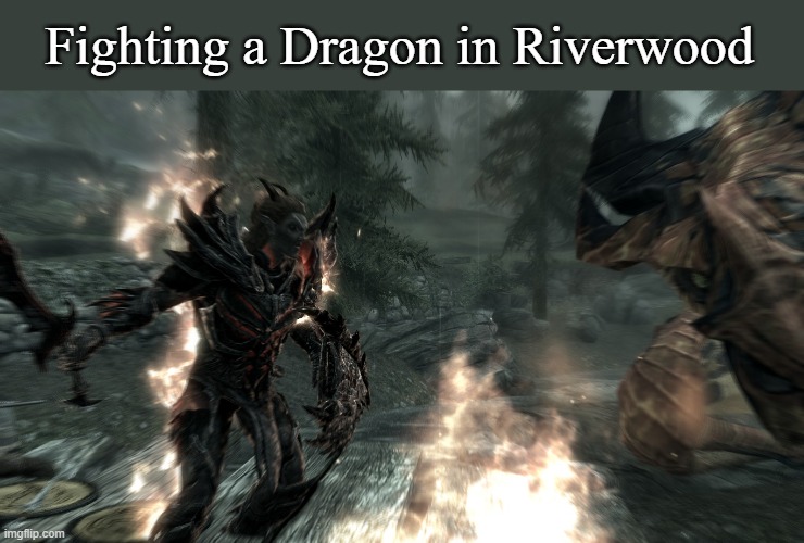 Fighting a Dragon in Riverwood | Fighting a Dragon in Riverwood | image tagged in skyrim,memes | made w/ Imgflip meme maker