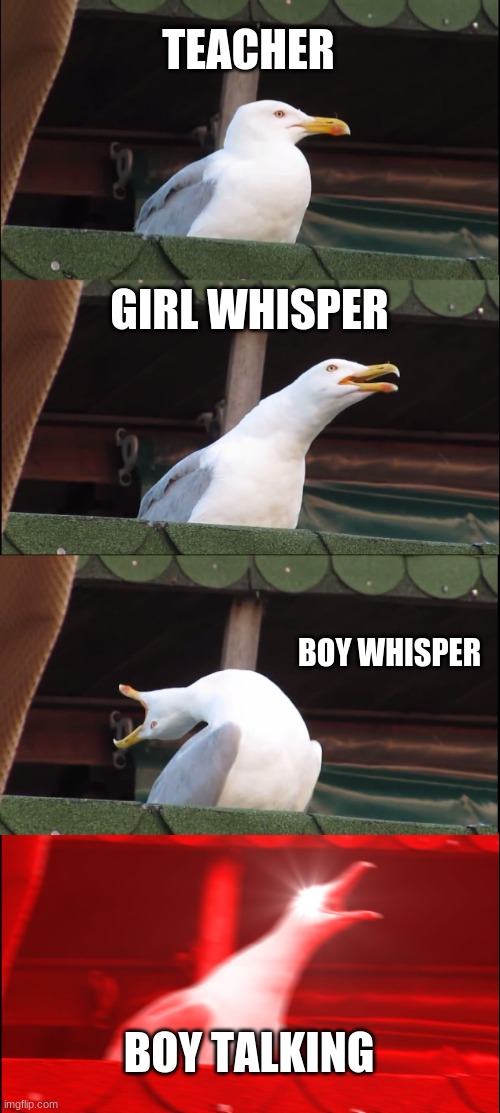 Inhaling Seagull | TEACHER; GIRL WHISPER; BOY WHISPER; BOY TALKING | image tagged in memes,inhaling seagull | made w/ Imgflip meme maker