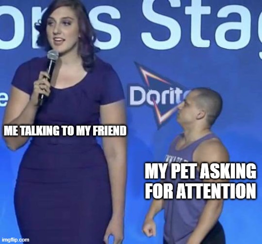 Tyler1 Meme | ME TALKING TO MY FRIEND; MY PET ASKING FOR ATTENTION | image tagged in tyler1 meme | made w/ Imgflip meme maker