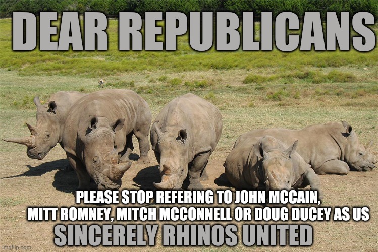 Rhino not RINO | DEAR REPUBLICANS; PLEASE STOP REFERING TO JOHN MCCAIN, MITT ROMNEY, MITCH MCCONNELL OR DOUG DUCEY AS US; SINCERELY RHINOS UNITED | image tagged in republicans,rhino,rino | made w/ Imgflip meme maker