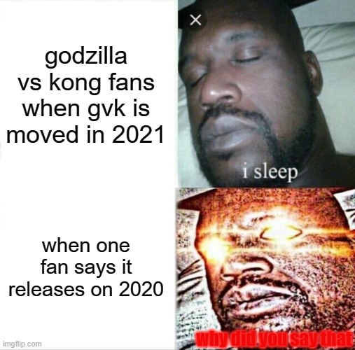 shep | godzilla vs kong fans when gvk is moved in 2021; when one fan says it releases on 2020; why did you say that | image tagged in memes,sleeping shaq | made w/ Imgflip meme maker
