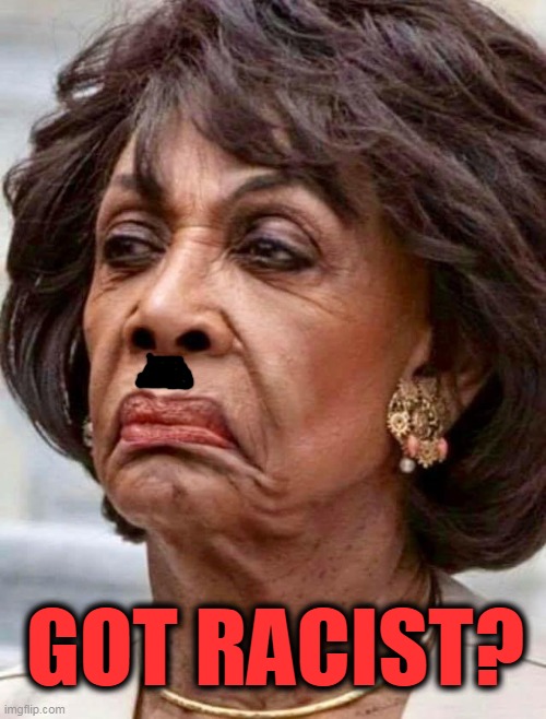 Mad Max | GOT RACIST? | image tagged in maxine waters,racist,politics | made w/ Imgflip meme maker