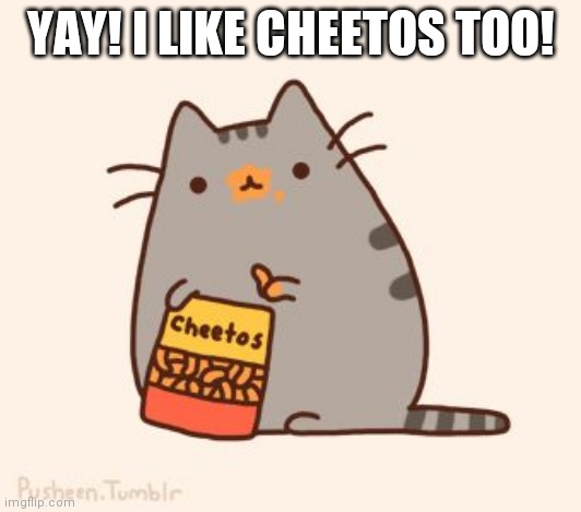 pusheen stole the cheetos | YAY! I LIKE CHEETOS TOO! | image tagged in pusheen stole the cheetos | made w/ Imgflip meme maker