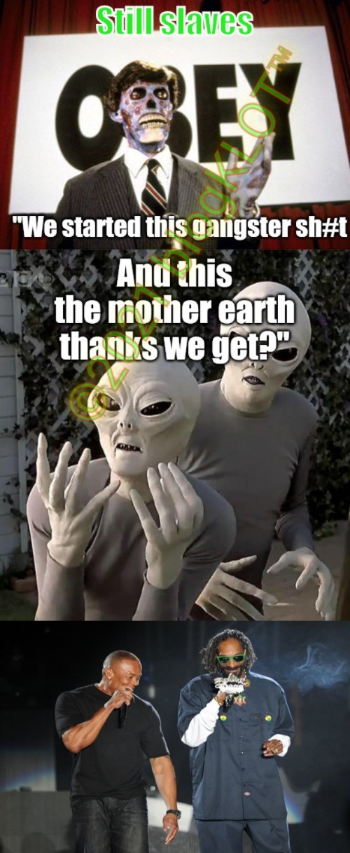That's the mother earth thanks we get | image tagged in dr dre and snoop,bitch how dare you still live,they live | made w/ Imgflip meme maker