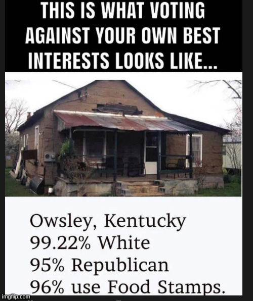 Is 'white trash' supposed to be hyphenated? | image tagged in asking for a friend,repub | made w/ Imgflip meme maker