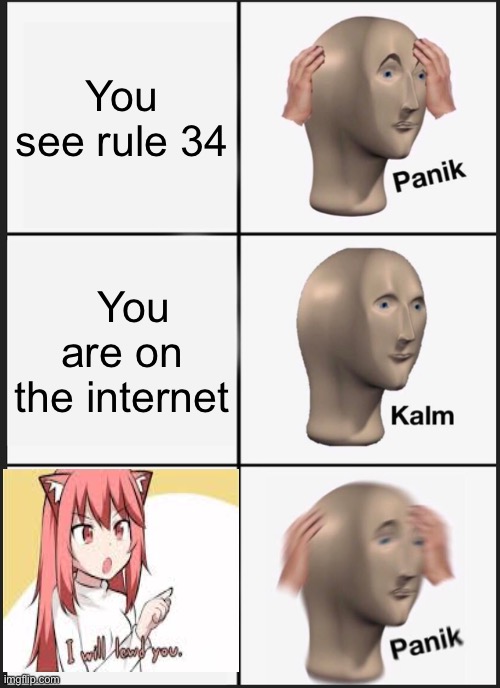 Panik Kalm Panik Meme | You see rule 34 You are on the internet | image tagged in memes,panik kalm panik | made w/ Imgflip meme maker