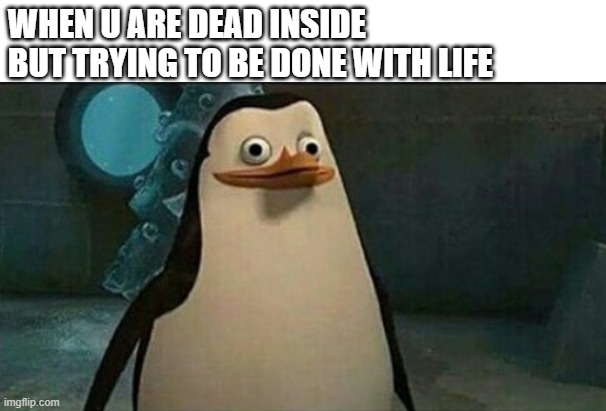 Confused Private Penguin | WHEN U ARE DEAD INSIDE BUT TRYING TO BE DONE WITH LIFE | image tagged in confused private penguin | made w/ Imgflip meme maker