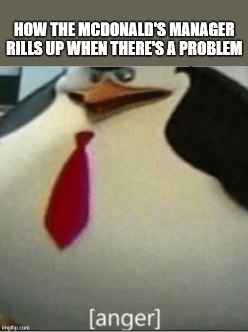 skipper | HOW THE MCDONALD'S MANAGER RILLS UP WHEN THERE'S A PROBLEM | image tagged in anger thicc skipper | made w/ Imgflip meme maker