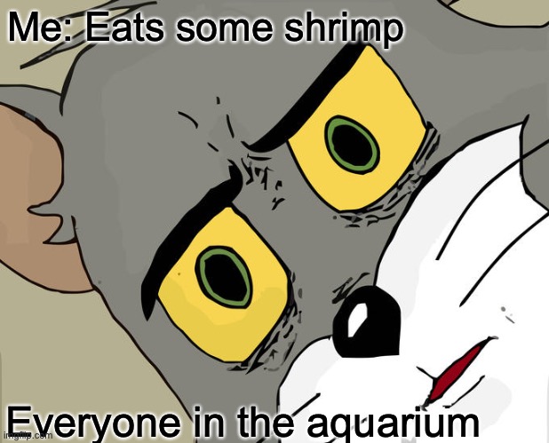 The shrimp delicious | Me: Eats some shrimp; Everyone in the aquarium | image tagged in memes,unsettled tom | made w/ Imgflip meme maker