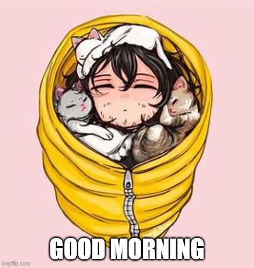 Sleepy kitties :3 | GOOD MORNING | image tagged in sleepy kitties 3 | made w/ Imgflip meme maker