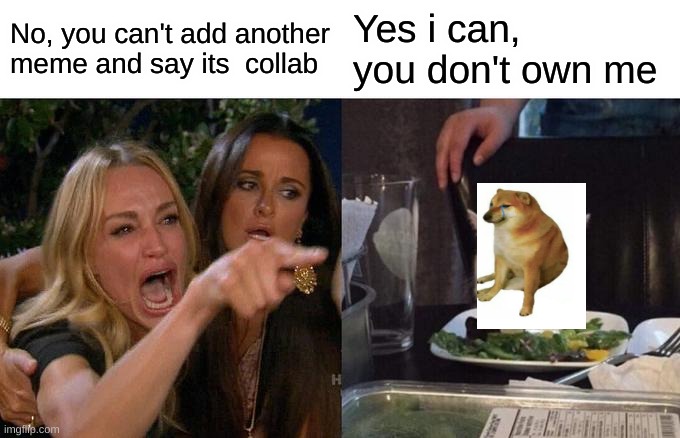 idk | No, you can't add another meme and say its  collab; Yes i can, you don't own me | image tagged in memes,woman yelling at cat | made w/ Imgflip meme maker