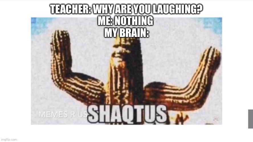 Shaqtus: Chapter 1: Rebirth | TEACHER: WHY ARE YOU LAUGHING?
ME: NOTHING 
MY BRAIN: | image tagged in shaq | made w/ Imgflip meme maker