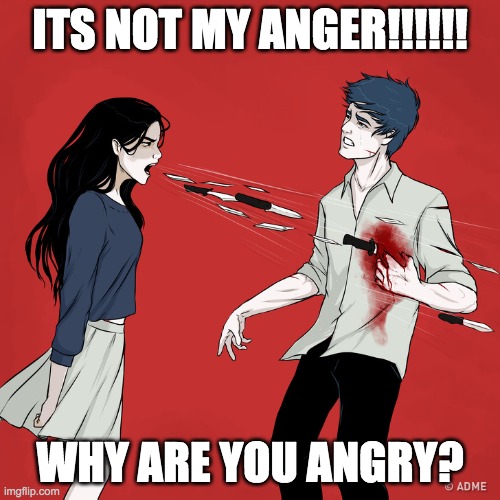 Poor me Anger Style | ITS NOT MY ANGER!!!!!! WHY ARE YOU ANGRY? | image tagged in woman shouting knives | made w/ Imgflip meme maker