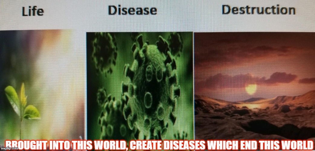 Our own enemy |  BROUGHT INTO THIS WORLD, CREATE DISEASES WHICH END THIS WORLD | image tagged in life,disease,death,science,what the hell is wrong with you people,end of the world | made w/ Imgflip meme maker
