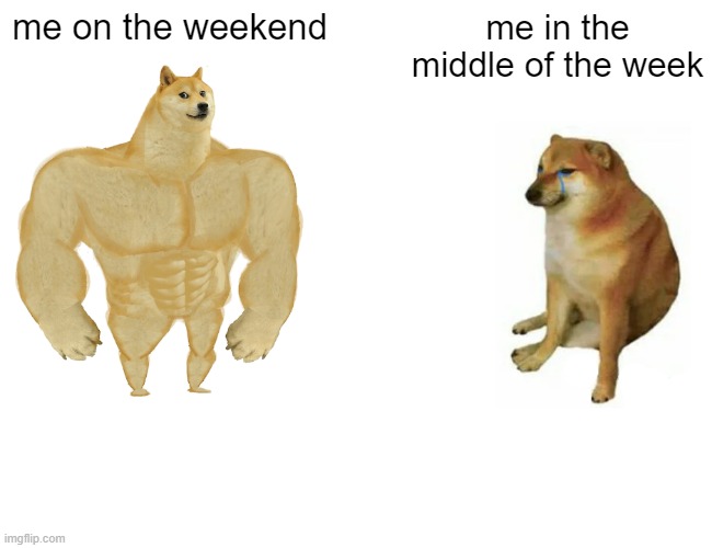 Buff Doge vs. Cheems Meme | me on the weekend; me in the middle of the week | image tagged in memes,buff doge vs cheems | made w/ Imgflip meme maker