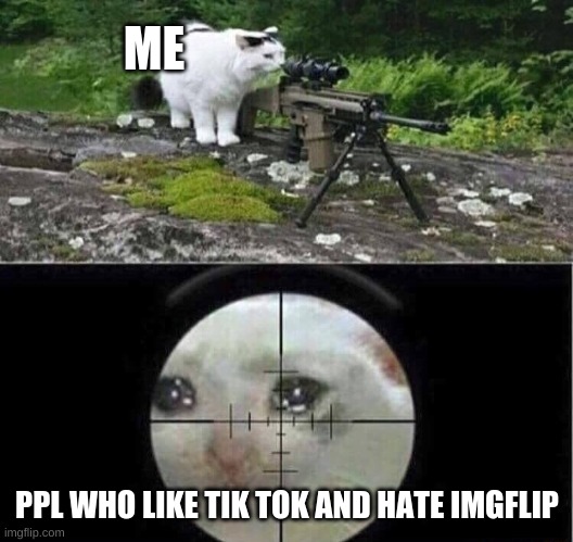 Sniper cat | ME; PPL WHO LIKE TIK TOK AND HATE IMGFLIP | image tagged in sniper cat | made w/ Imgflip meme maker