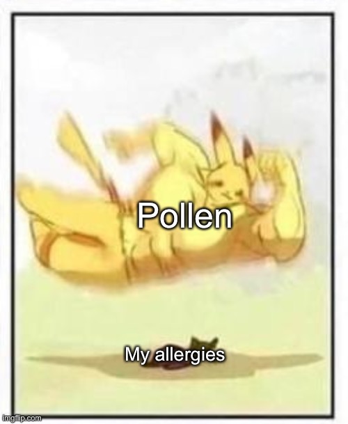 Buff Pikachu body slam | Pollen; My allergies | image tagged in buff pikachu body slam | made w/ Imgflip meme maker