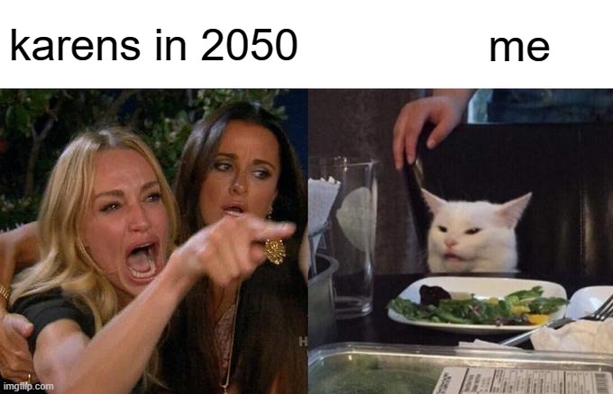 Woman Yelling At Cat Meme | karens in 2050; me | image tagged in memes,woman yelling at cat | made w/ Imgflip meme maker