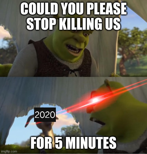 COULDNT EVEN GIVE US A BREAK | COULD YOU PLEASE STOP KILLING US; FOR 5 MINUTES | image tagged in shrek for five minutes,2020 sucks,funny | made w/ Imgflip meme maker