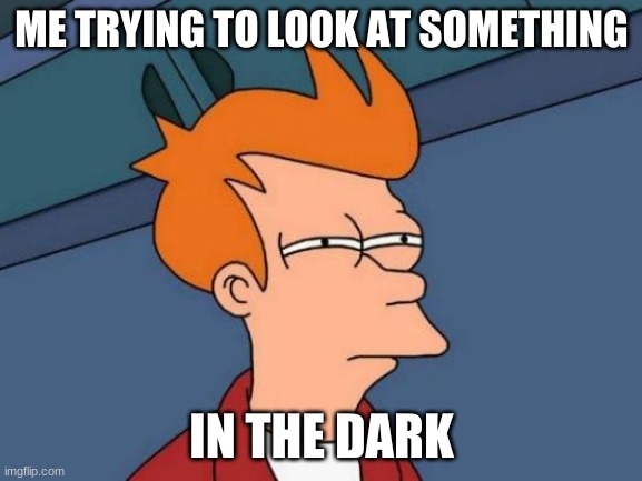 Futurama Fry Meme | ME TRYING TO LOOK AT SOMETHING; IN THE DARK | image tagged in memes,futurama fry | made w/ Imgflip meme maker