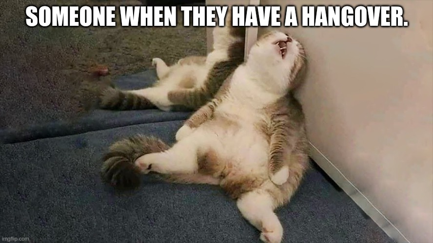 SOMEONE WHEN THEY HAVE A HANGOVER. | image tagged in lol | made w/ Imgflip meme maker