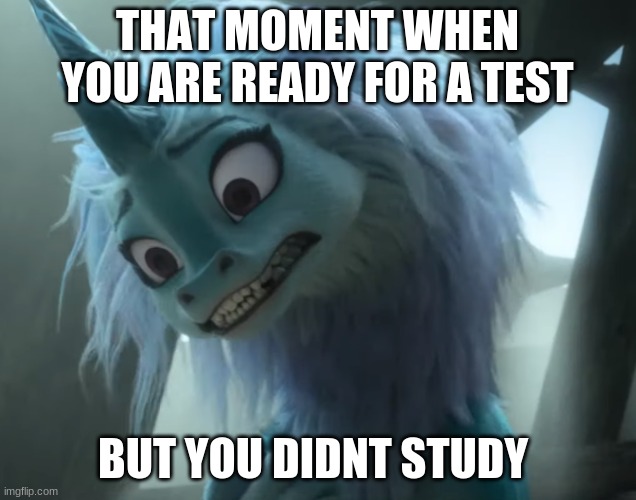 sisu isnt ready for the test | THAT MOMENT WHEN YOU ARE READY FOR A TEST; BUT YOU DIDNT STUDY | image tagged in funny | made w/ Imgflip meme maker