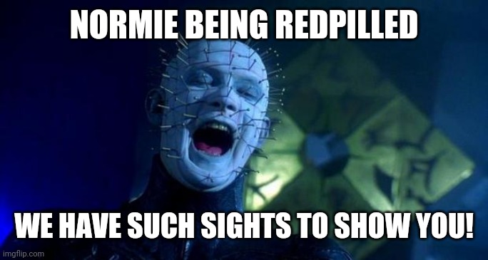 Pinhead | NORMIE BEING REDPILLED; WE HAVE SUCH SIGHTS TO SHOW YOU! | image tagged in pinhead | made w/ Imgflip meme maker