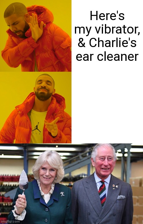 Here's my vibrator, & Charlie's ear cleaner | image tagged in memes,drake hotline bling | made w/ Imgflip meme maker