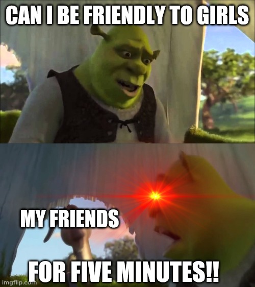shrek five minutes | CAN I BE FRIENDLY TO GIRLS; MY FRIENDS; FOR FIVE MINUTES!! | image tagged in shrek five minutes | made w/ Imgflip meme maker