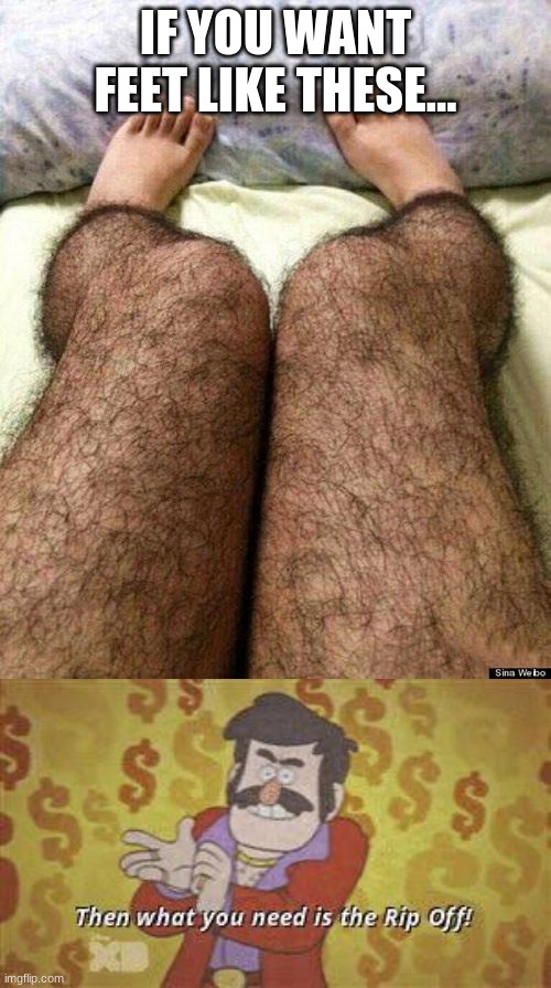 IF YOU WANT FEET LIKE THESE... | image tagged in hairy legs | made w/ Imgflip meme maker