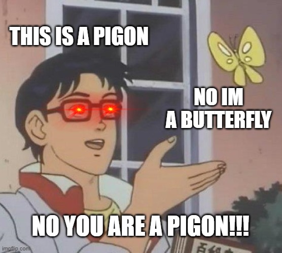 thats not a pigon!!! | THIS IS A PIGON; NO IM A BUTTERFLY; NO YOU ARE A PIGON!!! | image tagged in memes,is this a pigeon | made w/ Imgflip meme maker