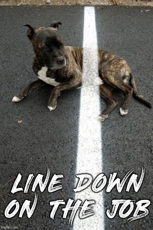 LINE DOWN ON THE JOB | image tagged in eyeroll | made w/ Imgflip meme maker