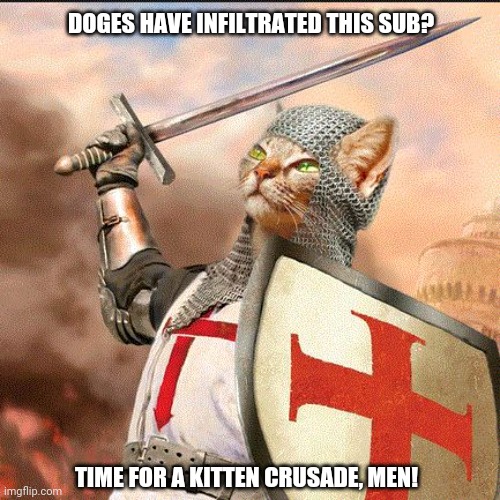 Crusader Cat | DOGES HAVE INFILTRATED THIS SUB? TIME FOR A KITTEN CRUSADE, MEN! | image tagged in memes,grumpy cat christmas,night | made w/ Imgflip meme maker