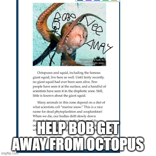 bob no     . | HELP BOB GET AWAY FROM OCTOPUS | made w/ Imgflip meme maker