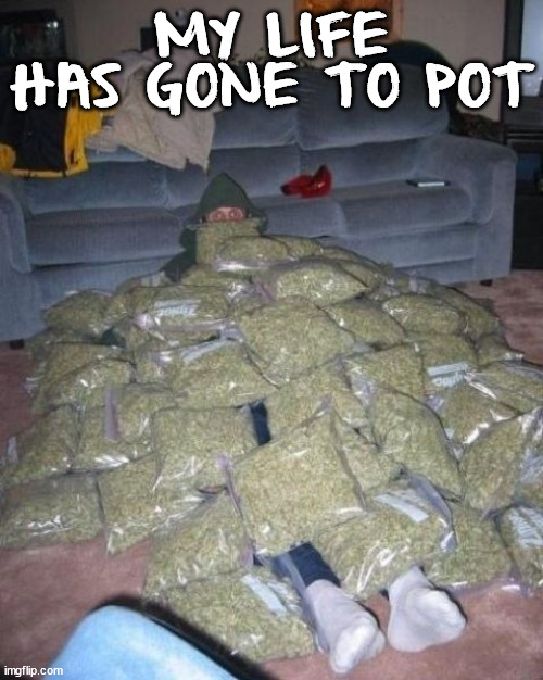 MY LIFE HAS GONE TO POT | image tagged in eye roll | made w/ Imgflip meme maker