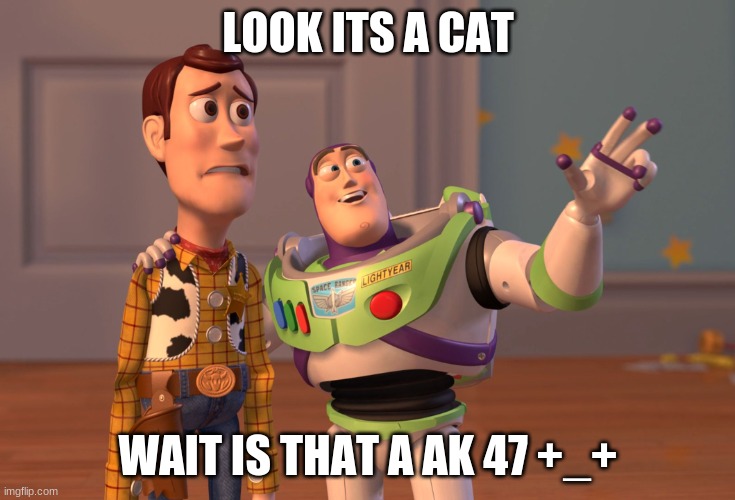 X, X Everywhere Meme | LOOK ITS A CAT WAIT IS THAT A AK 47 +_+ | image tagged in memes,x x everywhere | made w/ Imgflip meme maker