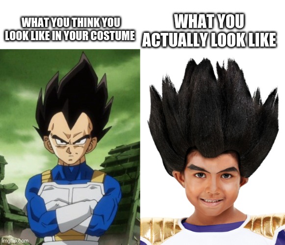 WHAT YOU ACTUALLY LOOK LIKE; WHAT YOU THINK YOU LOOK LIKE IN YOUR COSTUME | image tagged in vegeta | made w/ Imgflip meme maker