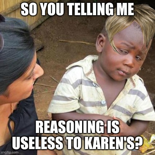 Third World Skeptical Kid Meme | SO YOU TELLING ME REASONING IS USELESS TO KAREN'S? | image tagged in memes,third world skeptical kid | made w/ Imgflip meme maker