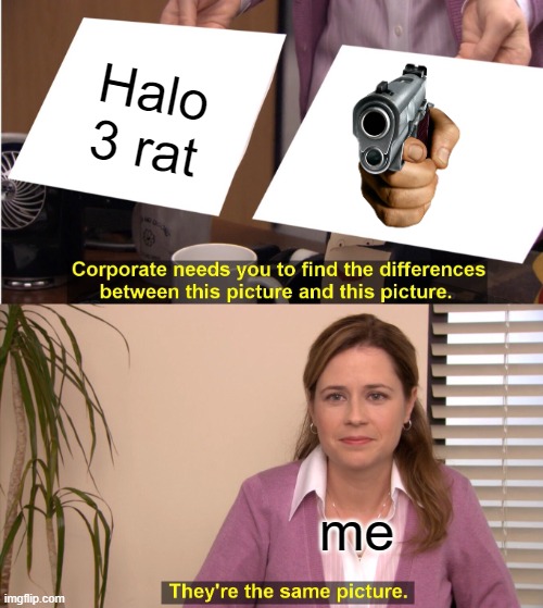 Halo 3 Rat VS gun | Halo 3 rat; me | image tagged in memes,they're the same picture | made w/ Imgflip meme maker