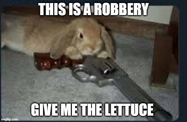 robbery | THIS IS A ROBBERY; GIVE ME THE LETTUCE | image tagged in bunny gun,bunny_lord | made w/ Imgflip meme maker