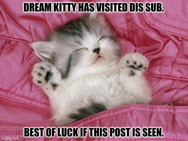 kitten sleeping | DREAM KITTY HAS VISITED DIS SUB. BEST OF LUCK IF THIS POST IS SEEN. | image tagged in memes,puppies and kittens,dreams | made w/ Imgflip meme maker
